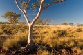 Lawn Hill_20070814_087
